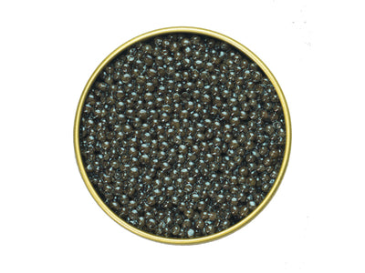 Royal Oscietra Caviar