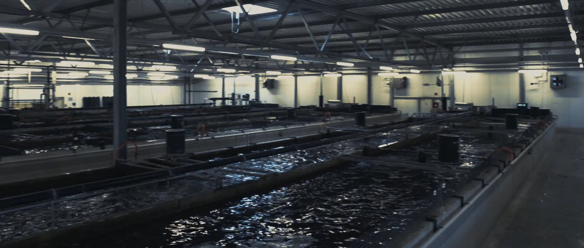 A long indoor hall of rectangular fish tanks under a steel roof and strip lights, the water in the nearest tank catching the light.