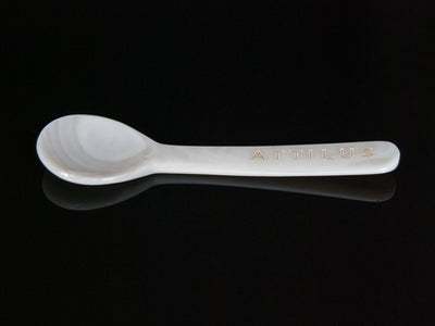 Attilus Caviar Mother of Pearl Spoon