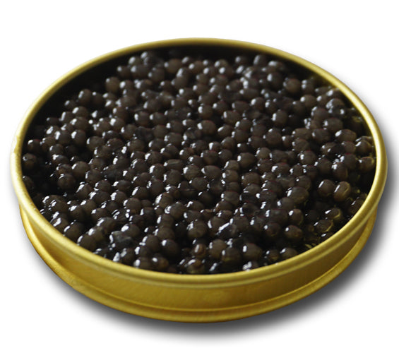 Beluga Caviar – Attilus Caviar